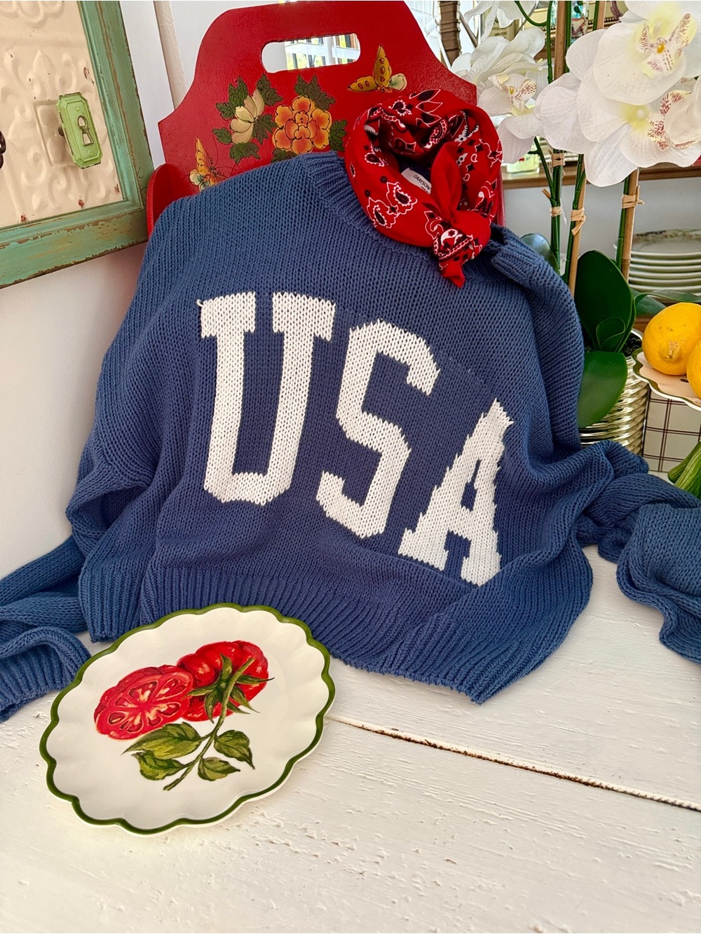USA Logo Knit Sweater - Blue